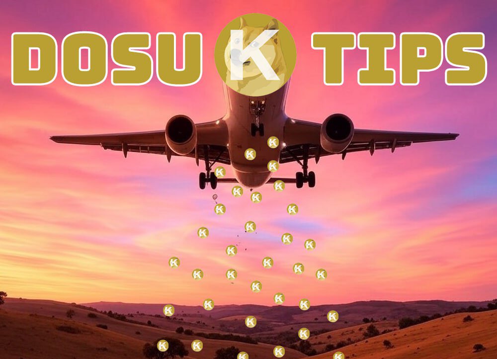 Dosu Foundation tweet media