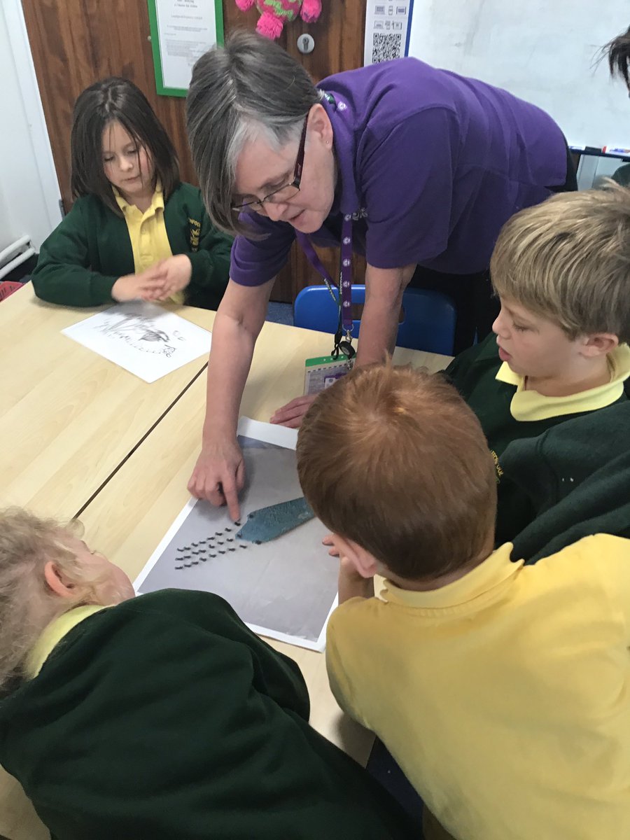 Leechpool Primary tweet media