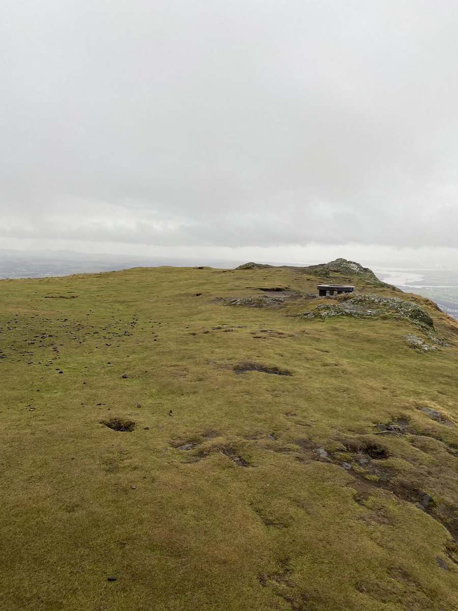 Miss Henderson tweet media