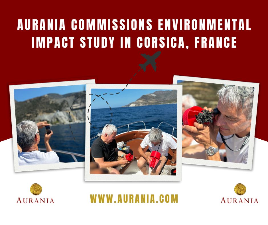 AuraniaLtd's tweet photo. #Aurania is thrilled to announce that its subsidiary company, #CorsicaRessources, has commissioned a French environmental engineering firm to undertake an environmental impact study at #Nonza and #Albo beaches in #Corsica. Read the big news: https://t.co/1OD66pAyhw https://t.co/he04sh3IQg