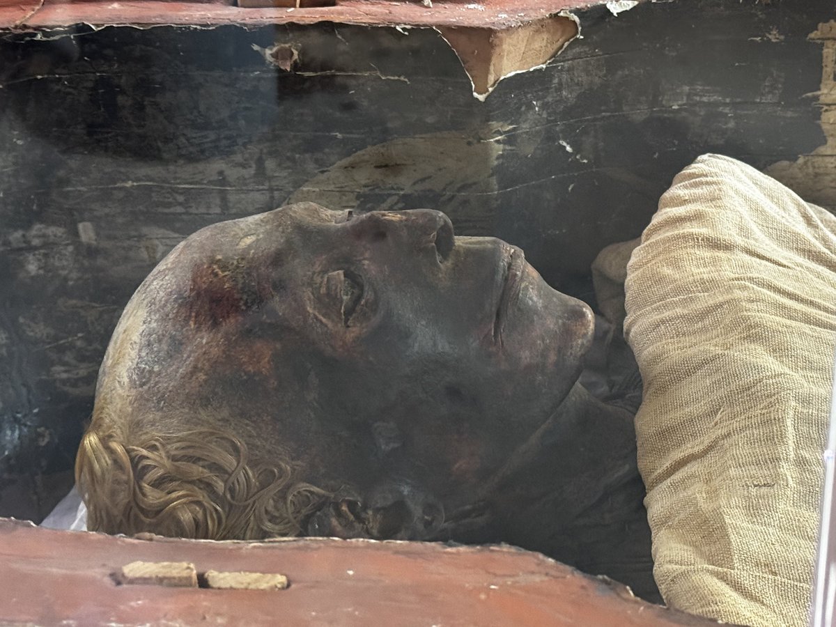 macbocian's tweet image. I&apos;m tired of &quot;getting WL&quot; or projects that require to play some games to be able to mint. Why don&apos;t we have some system that creates a kind of rank for a wallet based on number of past mints, how many #inscriptions were sold, flipped, minted, bought, HODL, kept longer time, etc.…