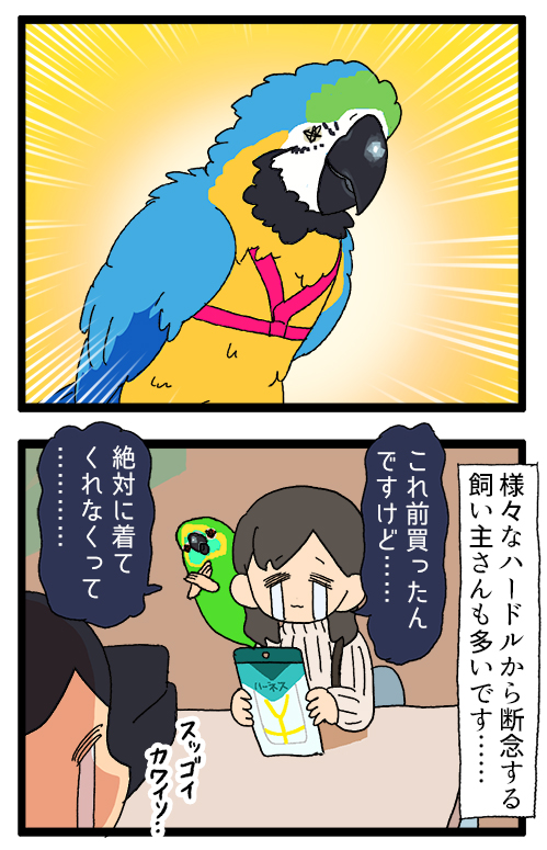 鳥さんにも専用のハーネスがあるよ✈️という漫画です✍️

2021 #えるポピの絵日記かくところ 