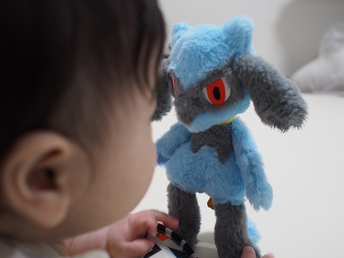 リオルとにらめっこ