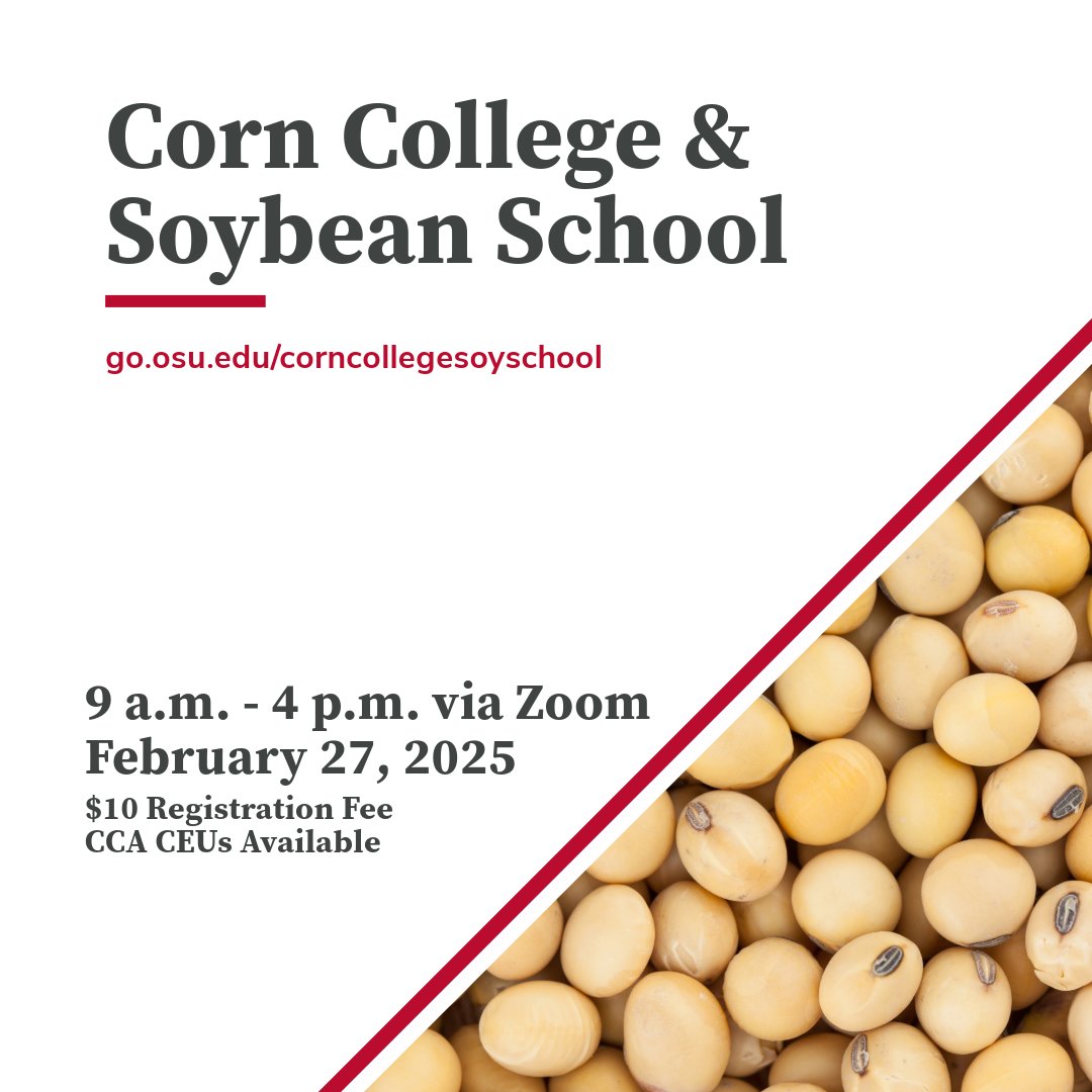Ohio State Agronomy (@osu_agronomy) on Twitter photo Get ready for the 2025 growing season with the 5th annual virtual Corn College and Soybean School. Register today at go.osu.edu/corncollegesoy… Cost is $10 and CCA CEUs will be available
<a href="/OrtezCornCrops/">Osler Ortez</a>
<a href="/StepUpSoy/">Laura Lindsey</a>
<a href="/shedekarvs/">Vinayak Shedekar</a>
<a href="/tdill25/">Taylor Dill</a>
<a href="/ohiostateweeds/">Ohio State Weed Science</a> Get ready for the 2025 growing season with the 5th annual virtual Corn College and Soybean School. Register today at go.osu.edu/corncollegesoy… Cost is $10 and CCA CEUs will be available
<a href="/OrtezCornCrops/">Osler Ortez</a>
<a href="/StepUpSoy/">Laura Lindsey</a>
<a href="/shedekarvs/">Vinayak Shedekar</a>
<a href="/tdill25/">Taylor Dill</a>
<a href="/ohiostateweeds/">Ohio State Weed Science</a>