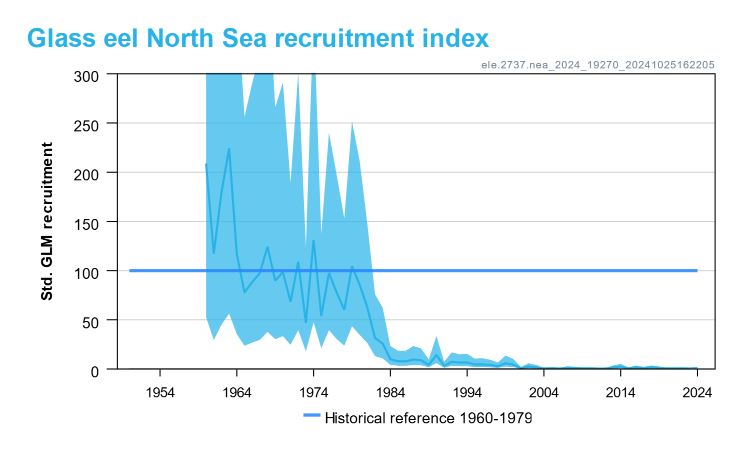 Nicolaj Lindeborgh tweet media