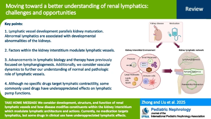 Annet Kirabo D.V.M., M.Sc., Ph.D., F.A.H.A. (@annetkiraboc1) on Twitter photo Our paper "Moving toward a better understanding of renal lymphatics: challenges and opportunities" published in #PediatricNephrology is now in <a href="/pubmed/">pubmed</a> <a href="/PubTrend/">PubMed Trending</a>
pubmed.ncbi.nlm.nih.gov/39899153/
Thanks Dr. Kon for including us on this! <a href="/ashleylpitzer/">Ashley Mutchler</a> @EShelton24 Our paper "Moving toward a better understanding of renal lymphatics: challenges and opportunities" published in #PediatricNephrology is now in <a href="/pubmed/">pubmed</a> <a href="/PubTrend/">PubMed Trending</a>
pubmed.ncbi.nlm.nih.gov/39899153/
Thanks Dr. Kon for including us on this! <a href="/ashleylpitzer/">Ashley Mutchler</a> @EShelton24