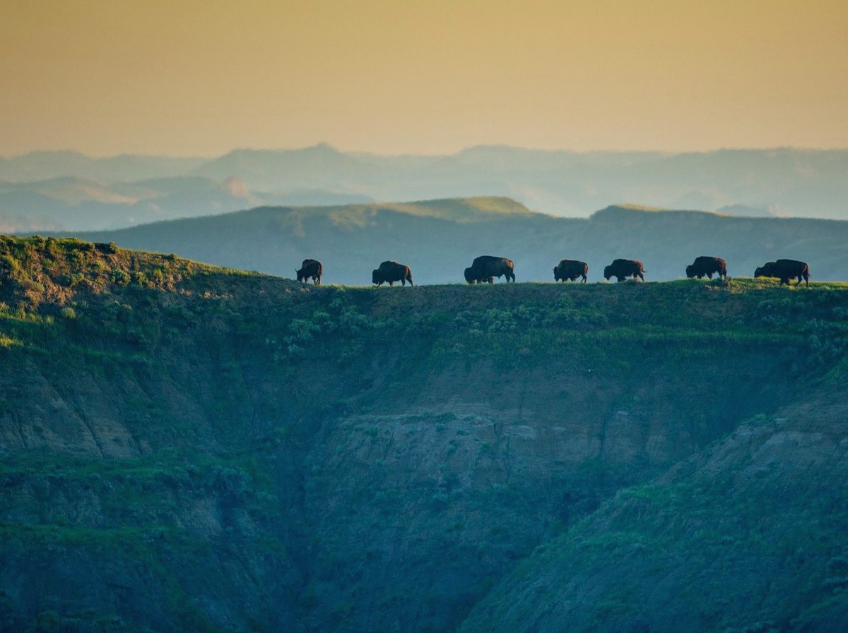 US Department of the Interior tweet media