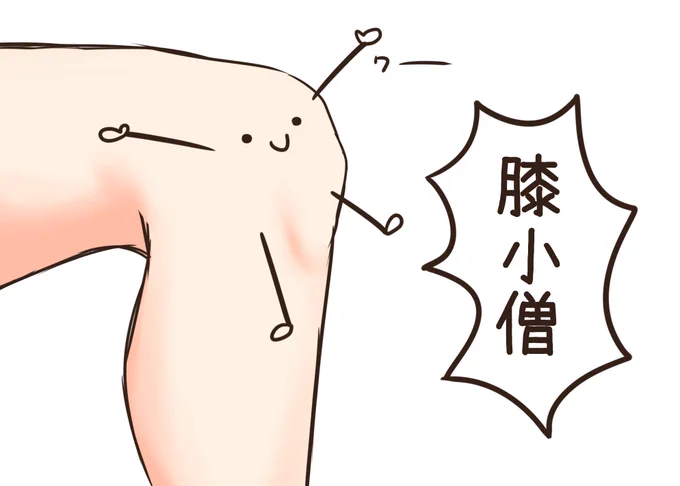 膝小僧 