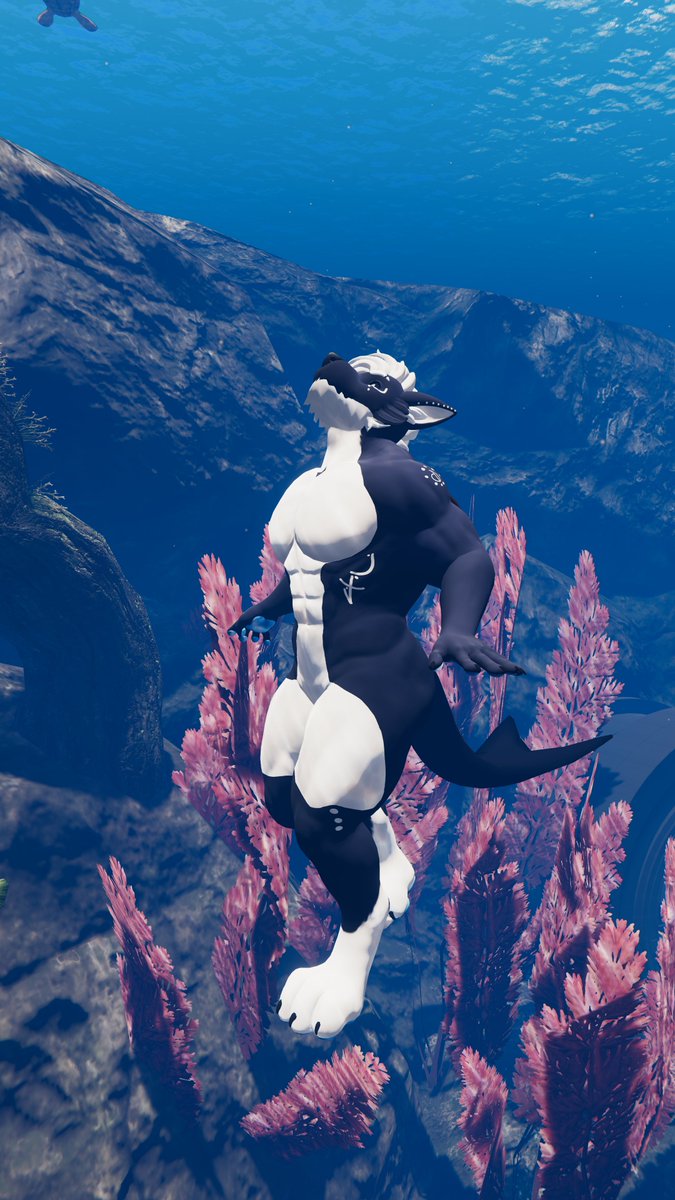 AtlasShape's tweet photo. New character! Orca Wolf mix will take more pictures later https://t.co/MFW98gXbec