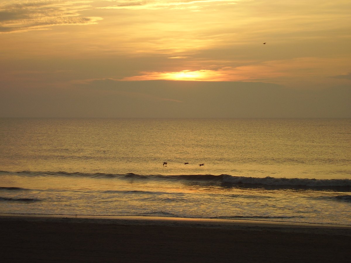 Good Morning, Friends. 
"Our souls may lose their peace and even disturb other people's, if we are always criticizing trivial actions - which often are not real defects at all, but we construe them wrongly through our ignorance of their motives."
Saint Teresa of Avila