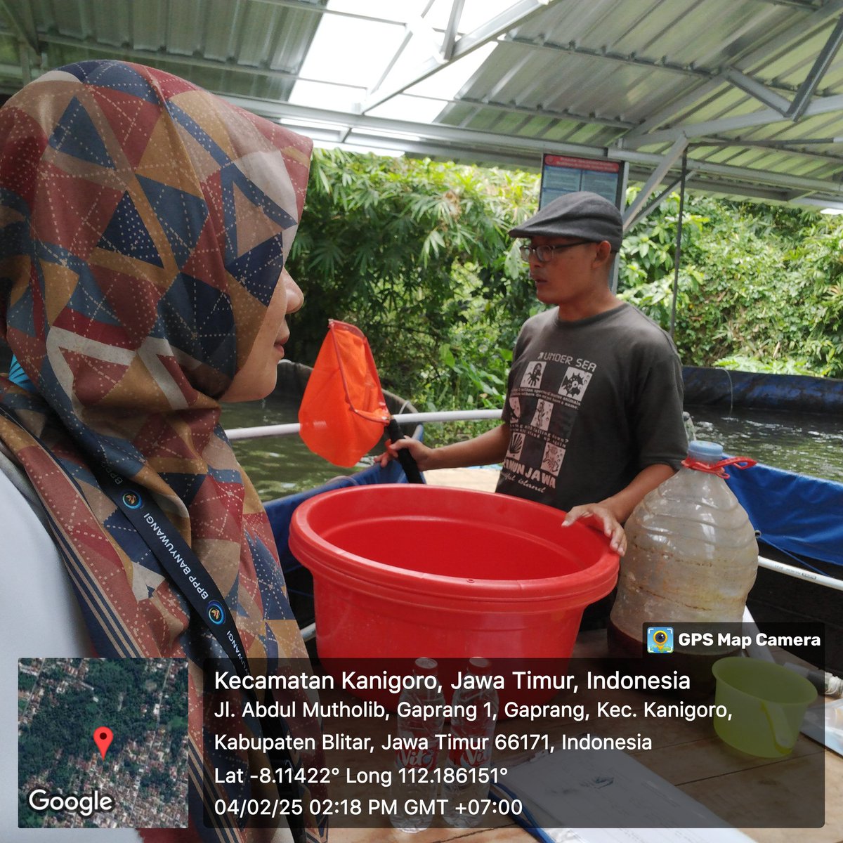 RikeLurin's tweet photo. Selasa 4/02/2025, Rike Lurin, Luhkan Kab. Blitar pendataan produksi di Bapak Avivianto Pokdakan Melaju Cepat, panen lele 214,5kg harga 17.500/kg #panen #Luhlapor
#GiatLuhkanSatminkalBWI
@bppsdm_bp3bwi
@bppsdm_kp https://t.co/vZq5zPbA2s