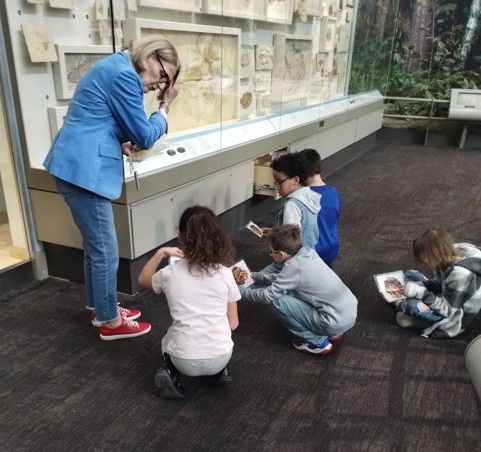 WestMifflinArea's tweet photo. A group of @WMMiddleSchool students recently visited @CarnegieMNH for a fun and informative day!
The students toured the gem section, dinosaur and Ice Age exhibits, met a paleontologist cleaning fossils and learned about their preservation. #WMASD @PADeptofEd @GreatPASchools https://t.co/IwmyNSD7Dk