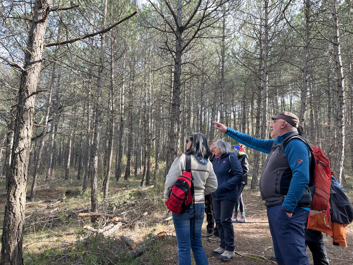 AlertaForestal tweet media