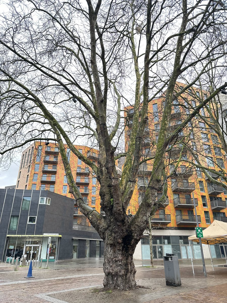 Kulbinder Mann tweet media