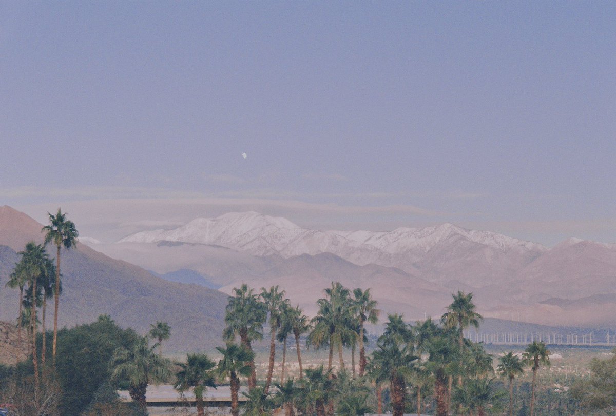 35mmfilmslides tweet media