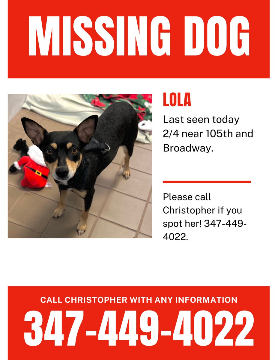 🚨Missing dog! 🚨 Bideawee alum, Lola, slipped out of her harness today 2/4 at around 1:30 on the upper west side around Broadway and 105th street. If you spot her, please call Christopher immediately at 347-449-4022.