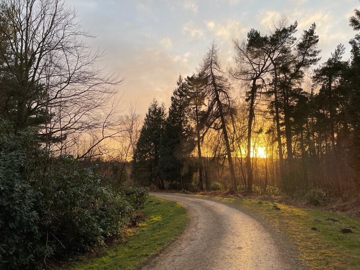 Martin Pavey 🏴 (@martinfpavey) on Twitter photo A stunningly beautiful walk this afternoon/early evening. Wonderful sunset. 🥰
<a href="/ChatsworthHouse/">Chatsworth</a> is Heaven on Earth A stunningly beautiful walk this afternoon/early evening. Wonderful sunset. 🥰
<a href="/ChatsworthHouse/">Chatsworth</a> is Heaven on Earth