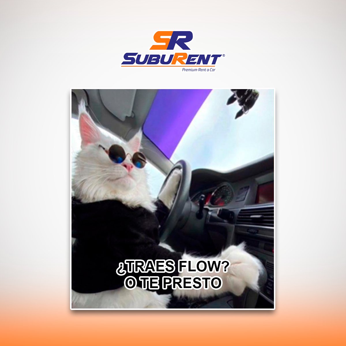 SUBURent's tweet photo. Porque el verdadero flow se siente al volante. 😎🚗💨 Renta un auto o camioneta con #SubuRent y maneja con estilo por #Veracruz. 
.
#viajes #aventura #explorar #rentadeautos #rentacar #VeracruzPuerto https://t.co/KAsfLhCXyw