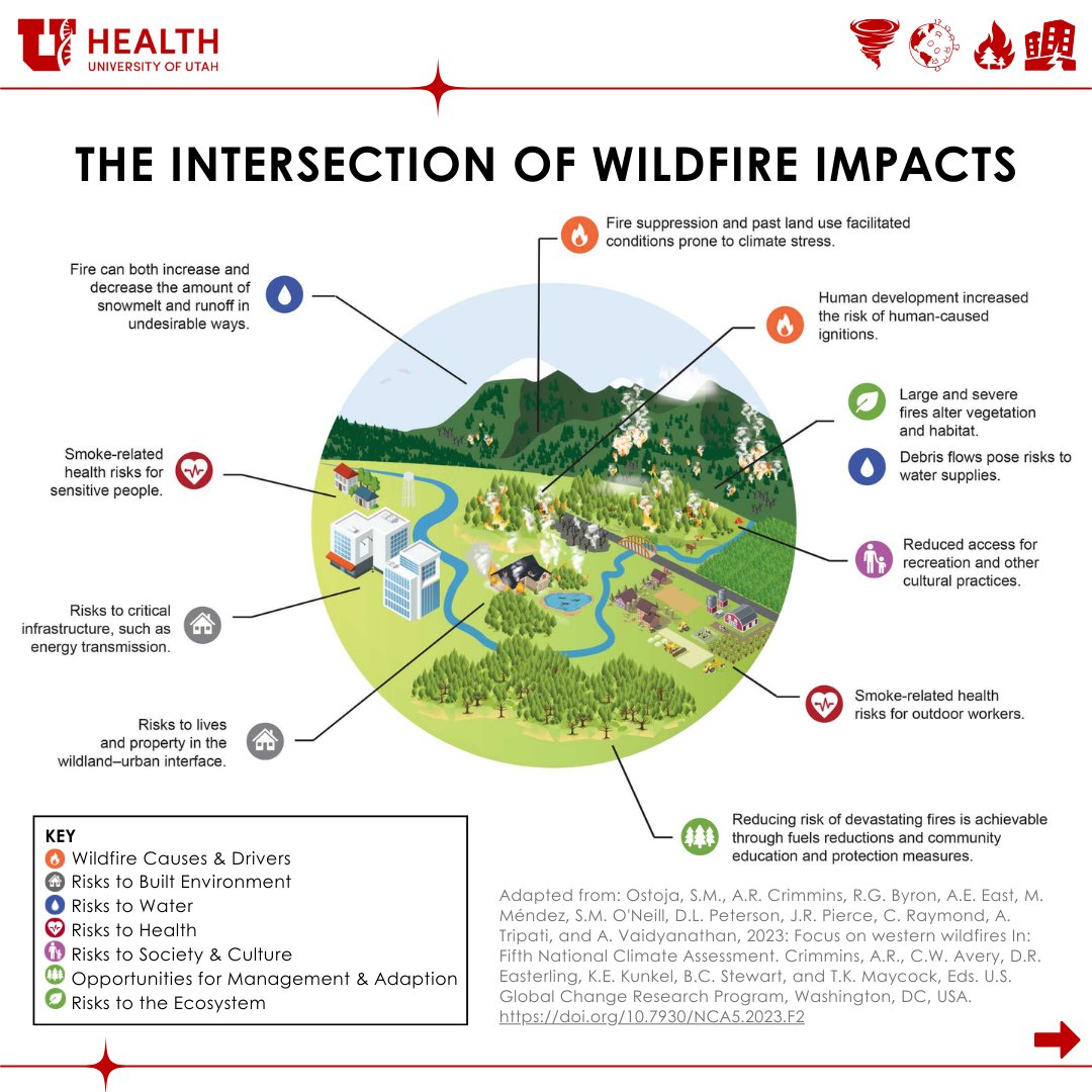 uofuceph's tweet photo. https://t.co/JpB3JwULoZ