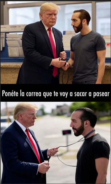 MarceloLarin1's tweet photo. Gracias Nayib segui así 🤣🤣🤣.
Estas siendo bien asesorado, también ofrecele que podemos ser su desagüe de aguas negras para que no se note tanto la destrucción de la minería o porque no mejor le ofreces también que en tu tiempo libre podes ser su mesero. https://t.co/vsT8Qw1nOt
