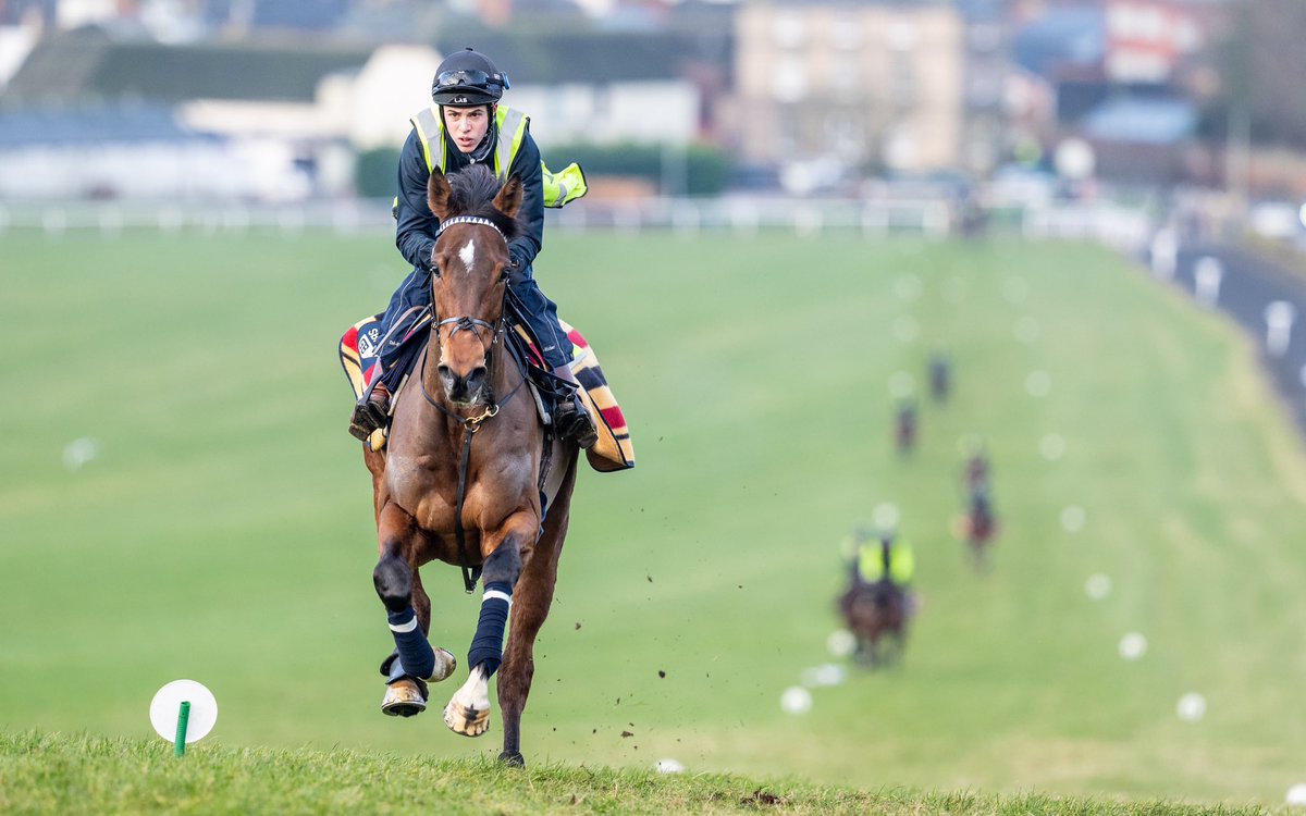 George Boughey Racing tweet media