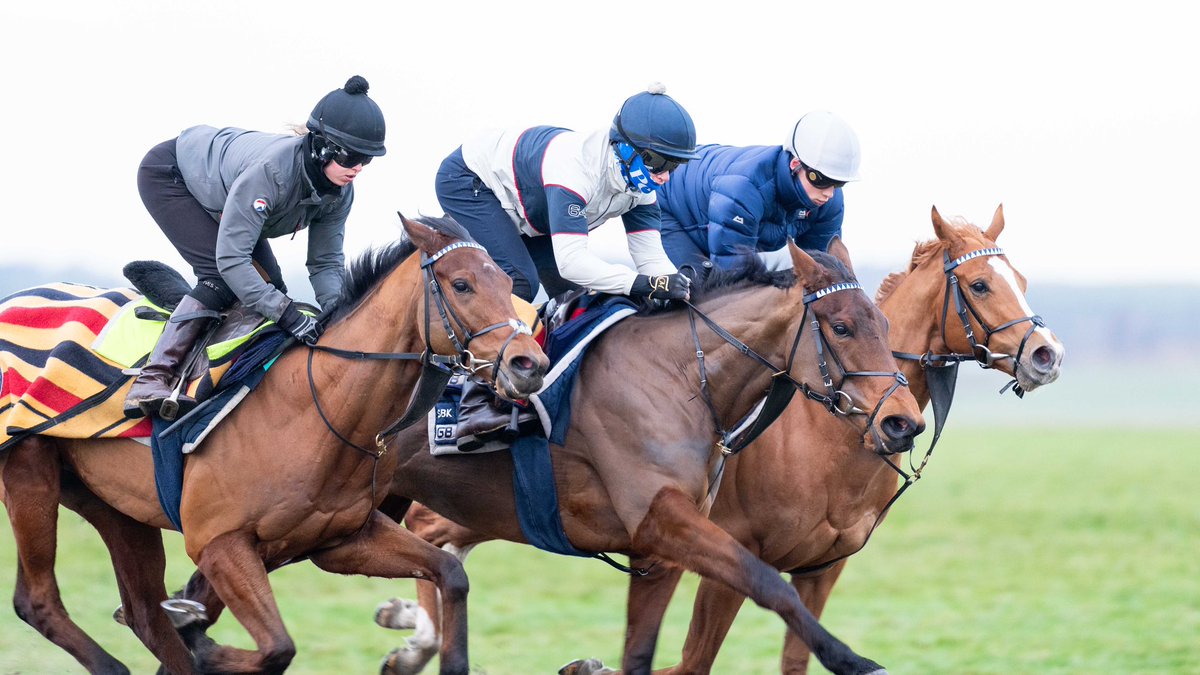 George Boughey Racing tweet media