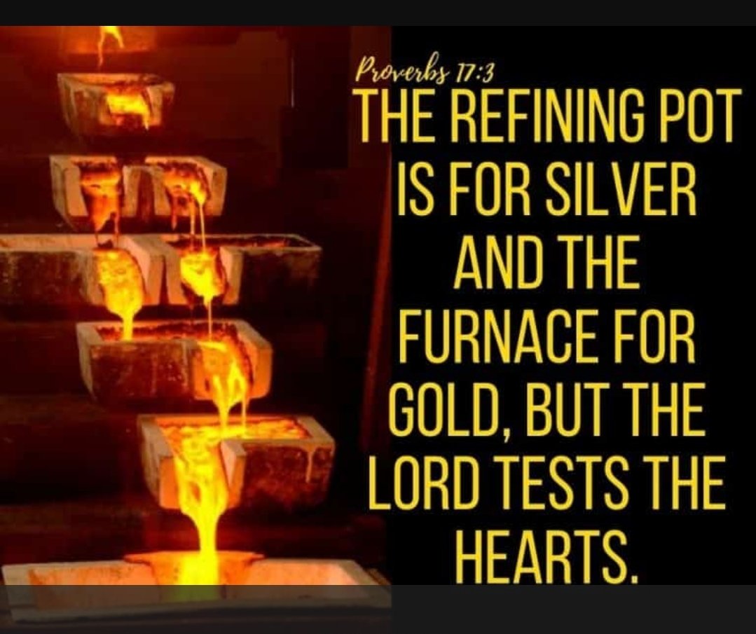 ComstockRoyalty's tweet photo. NON STOP RECORDS HAPPENING IN #GOLD.

Lets go! @SilverGoldStock 
https://t.co/HXMDRVf6ez https://t.co/vpK4PGJb5v