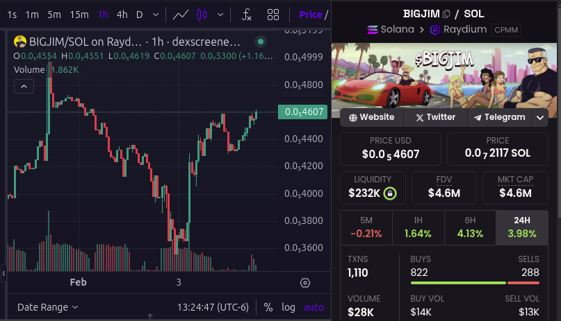 wallstreetbets's tweet photo. In finance we call this the V recovery for $BIGJIM - and is usually followed by a complete moonshot @bigjim_sol https://t.co/oEYtEdoUke