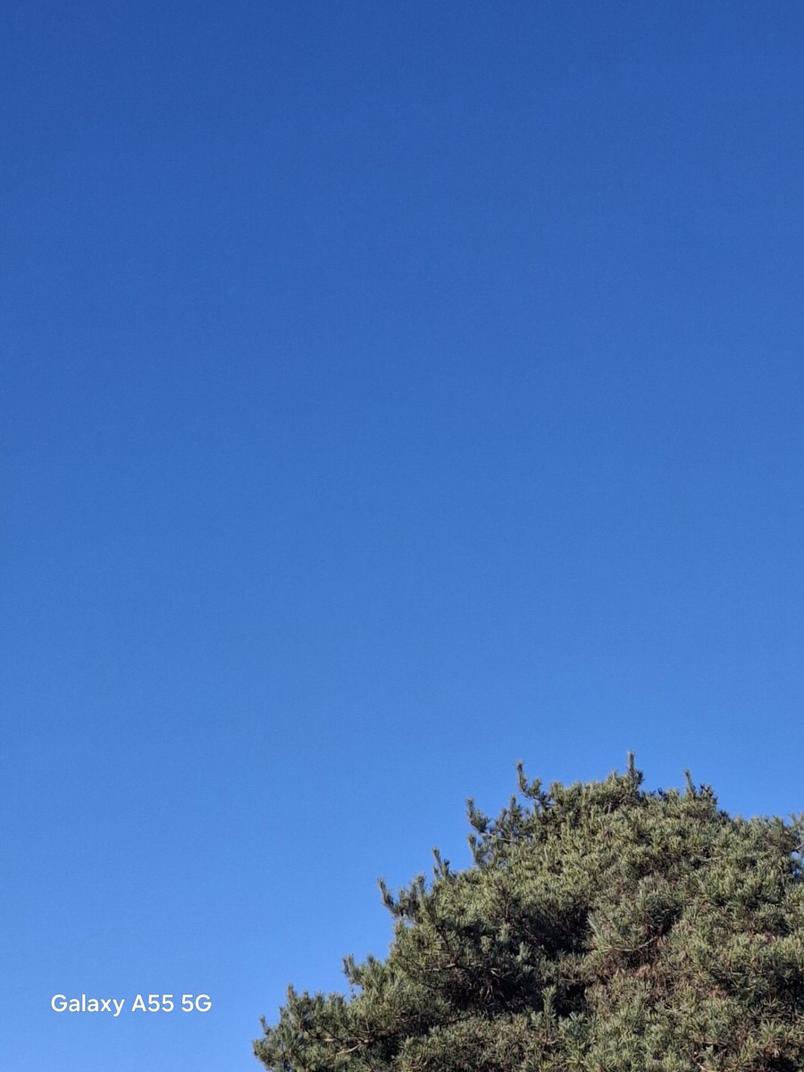 Anaïs LPDS 🍁 tweet media