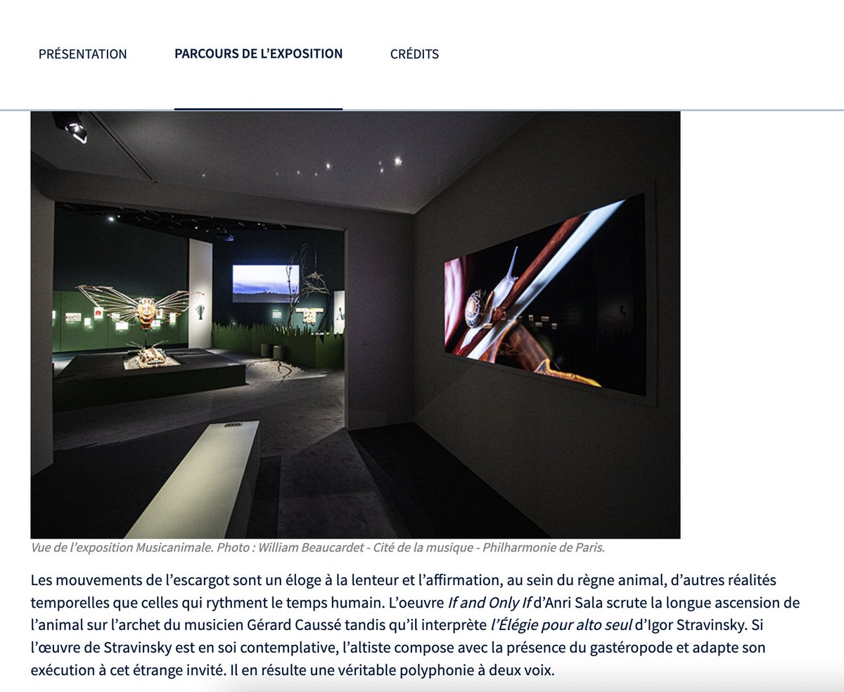 🐱🐰 L'exposition "Musicanimale. Le grand #bestiaire sonore" est terminée, les #RessNum <a href="/philharmonie/">Philharmonie de Paris</a> sont en ligne 
☑️ Parcours de l'exposition en ligne sous le format d'un abécédaire 👉
…ectionsdumusee.philharmoniedeparis.fr/exposition-mus…
☑️ Les #animaux musiciens 👉pad.philharmoniedeparis.fr/selection-anim…
<a href="/eduscol_edmus/">éduscol edmus</a>