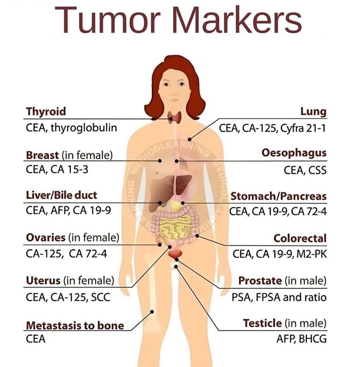 Doctors__squad's tweet photo. Tumor Markers https://t.co/GZ3Z6dHACN