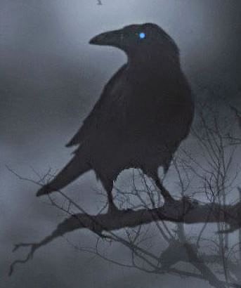 𝐊𝐚𝐢 tweet media