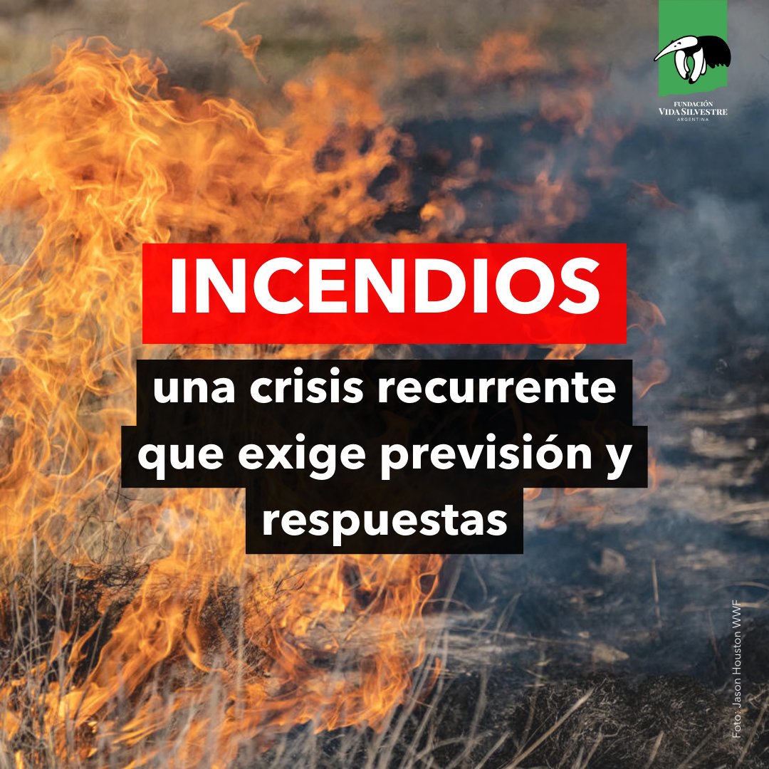 Vida_Silvestre's tweet photo. Cada año, los incendios forestales se vuelven más frecuentes y devastadores en Argentina. Casi 25.000 hectáreas ya fueron consumidas por el fuego en Chubut, Río Negro y Neuquén, y a menos que se tomen medidas urgentes, las llamas seguirán avanzando. https://t.co/rE07V7fnBN