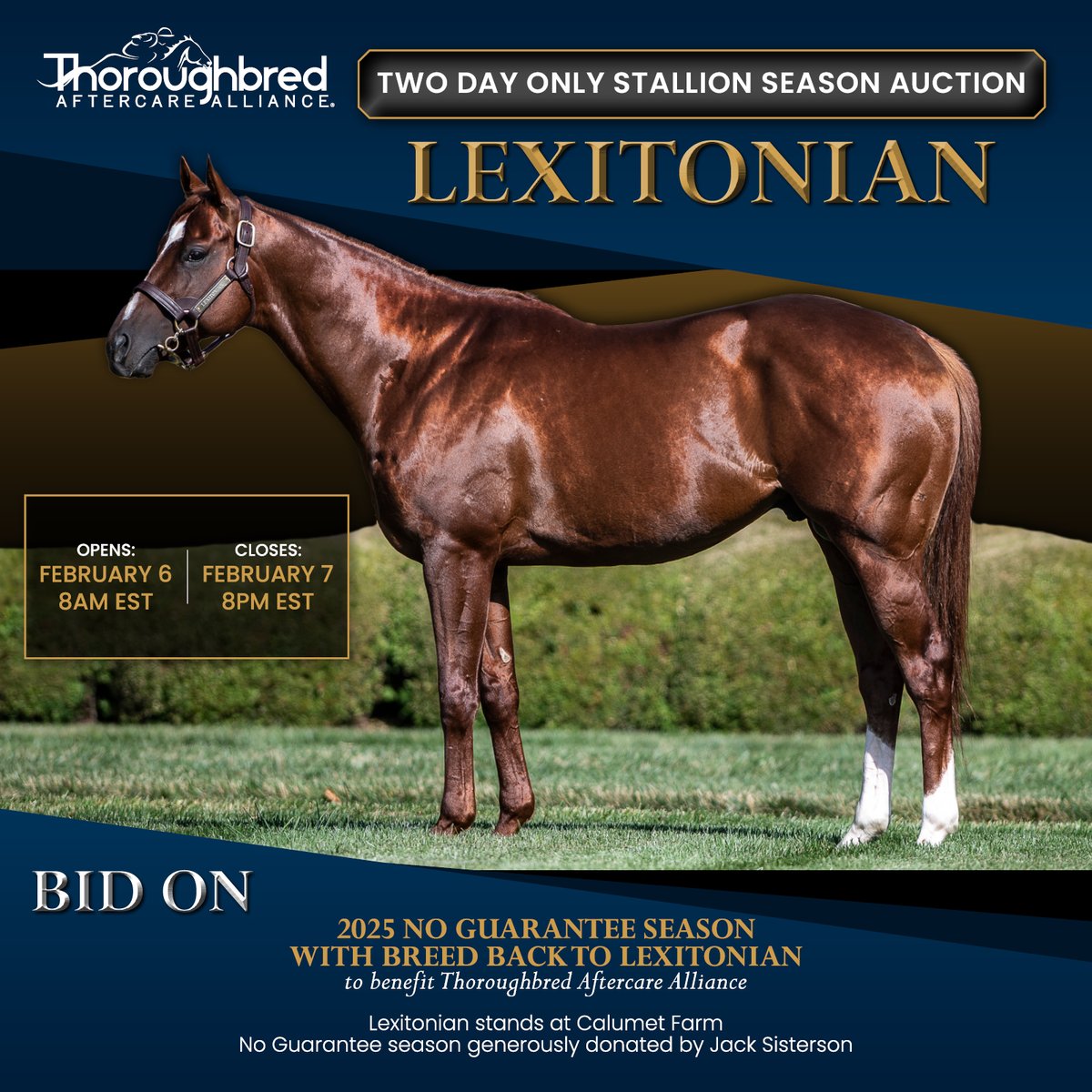 Thoroughbred Aftercare Alliance will offer a Lexitonian 2025 breeding season for auction from 8 AM EST, February 6 to 8 PM EST February 7, 2025. Donated by <a href="/JackSisterson/">JWS Racing</a> to benefit accredited aftercare.

thoroughbredaftercare.org/thoroughbred-a…