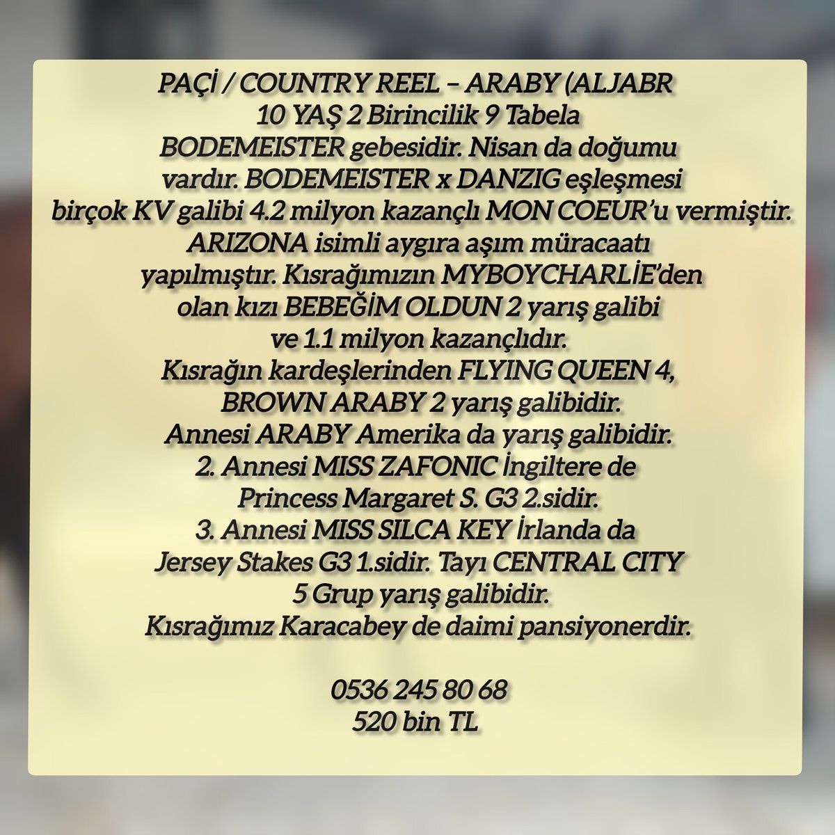MetinMfg's tweet photo. PAÇİ(#COUNTRYREEL – ARABY (ALJABR - USA) 10 YAŞ 2 Birincilik 9 Tabela
#BODEMEISTER gebesidir. Nisan da doğumu vardır. BODEMEISTER x DANZIG eşleşmesi birçok KV galibi 4.2 milyon kazançlı MON COEUR’u vermiştir.
#ARIZONA isimli aygıra aşım müracaatı yapılmıştır. Kısrağımızın MYBOYCHARLİE’den olan kızı BEBEĞİM OLDUN 2 yarış galibi ve 1.1 milyon kazançlıdır.
Kısrağın kardeşlerinden FLYING QUEEN 4, BROWN ARABY 2 yarış galibidir.
Annesi ARABY Amerika da yarış galibidir.
2. Annesi MISS ZAFONIC İngiltere de Princess Margaret S. G3 2.sidir.
3. Annesi MISS SILCA KEY İrlanda da Jersey Stakes G3 1.sidir. Tayı CENTRAL CITY 5 Grup yarış galibidir.
Kısrağımız Karacabey de daimi @varmitalip