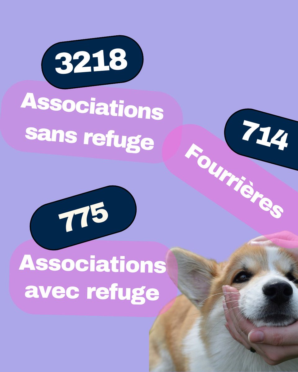 🐾 Ethics For Animals 🐾 tweet media