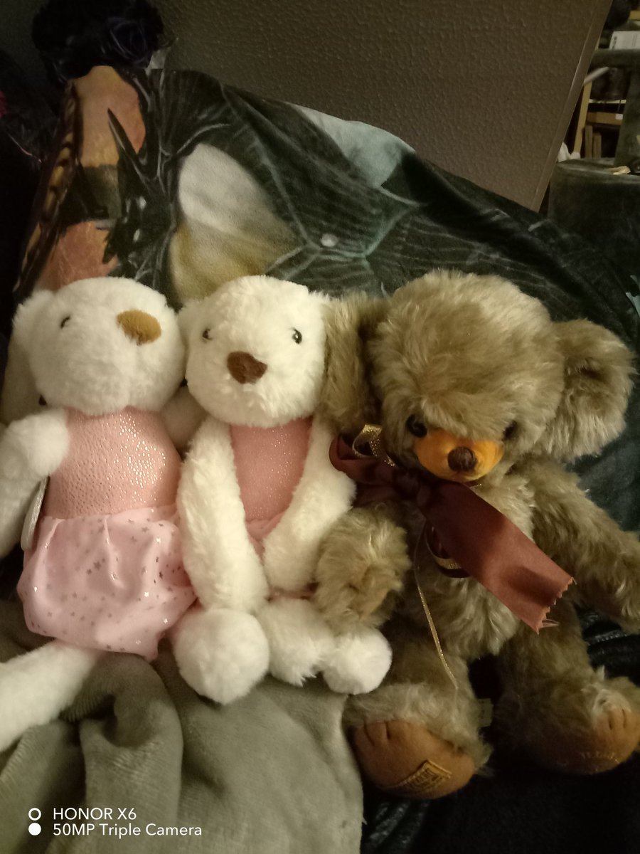 New members of hug have arrived. Welcome to the family xc