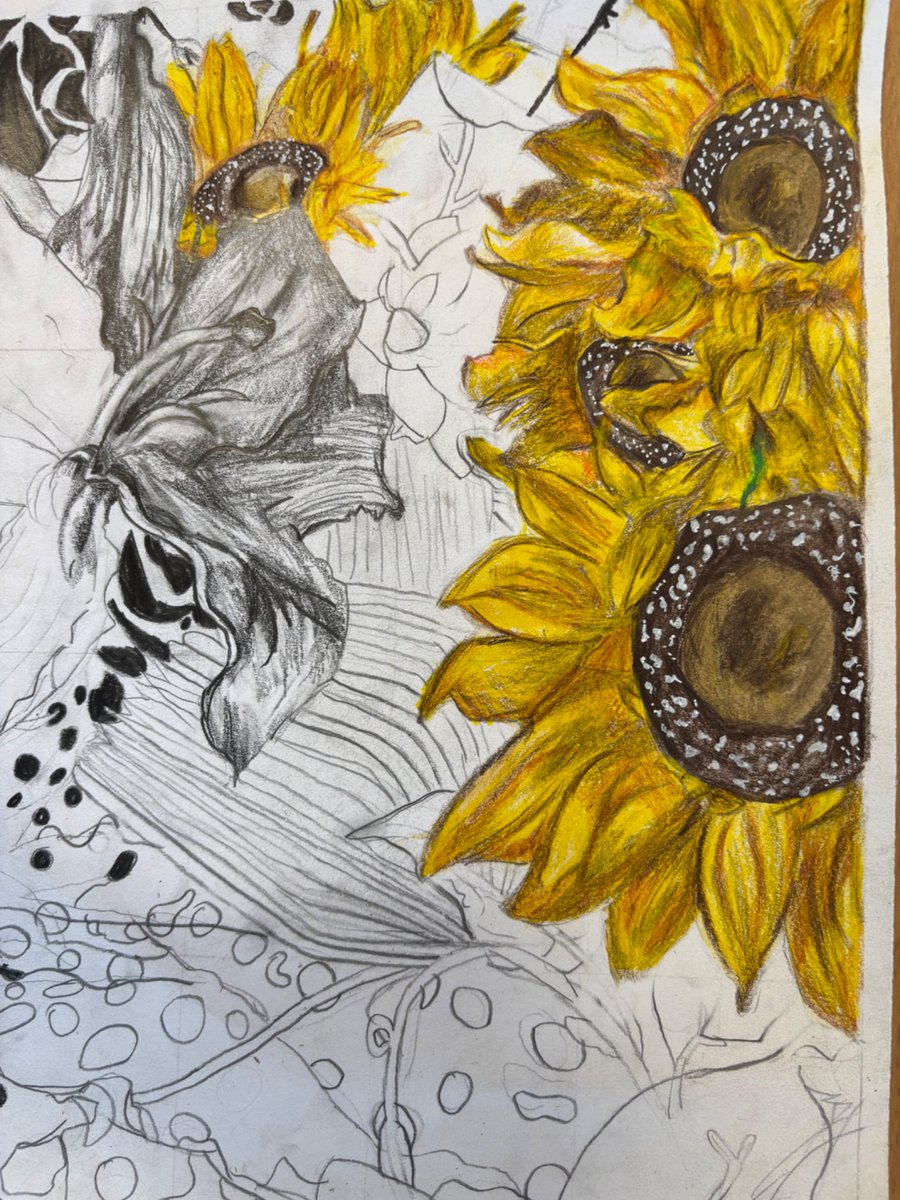 Duncanrig Creative tweet media