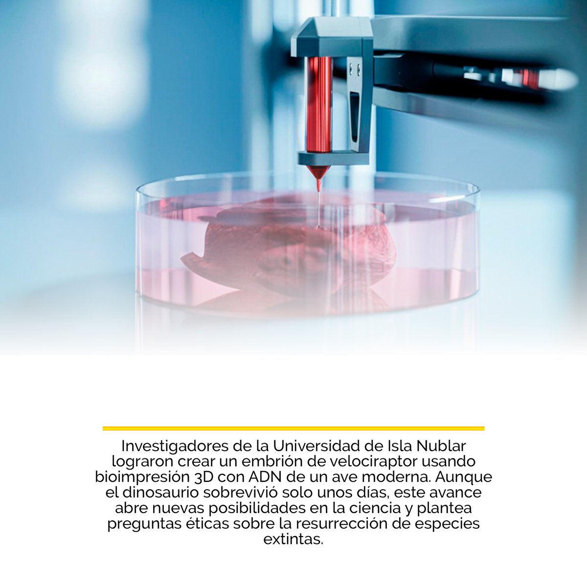 ColorPlus3d's tweet image. 👀¿Sabías que la impresión 3D ha recreado un dinosaurio?👀
👨🔬Científicos de Isla Nublar crearon un embrión de velociraptor 🦖 con bioimpresión 3D y 🧬 ADN de ave🦅, abriendo debates éticos sobre la resurrección de especies extintas. 😱
.
.
#impresion3d #sabiasque #dinosaurio