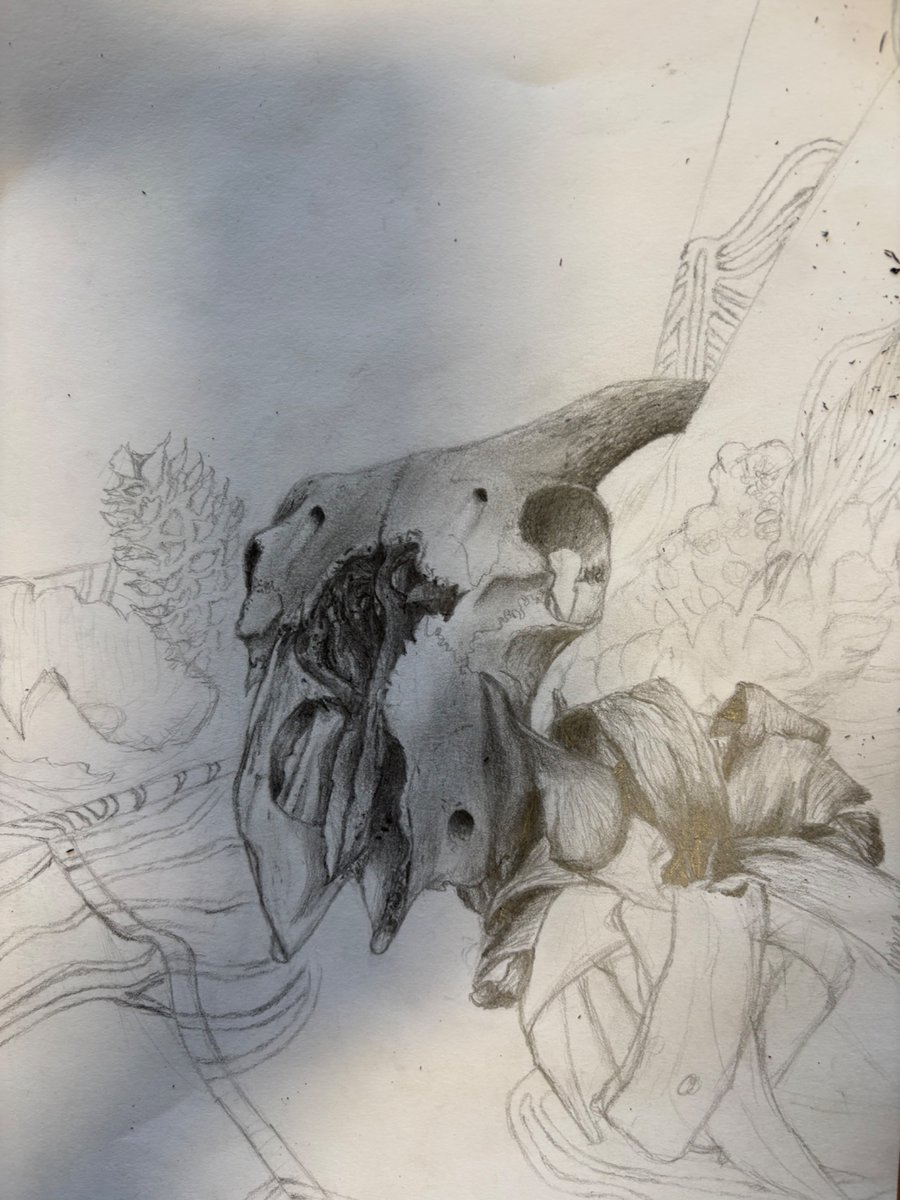 Duncanrig Creative tweet media