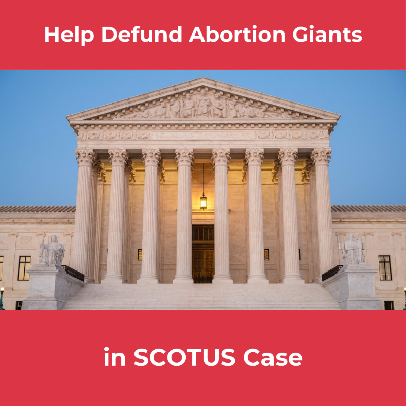 ADFLegal's tweet photo. When South Carolina stopped giving tax dollars to Planned Parenthood, the abortion giant sued–—and won. Now we’re fighting back! The U.S. Supreme Court has agreed to hear Medina v. Planned Parenthood South Atlantic. Winning this case will free more states to protect life.