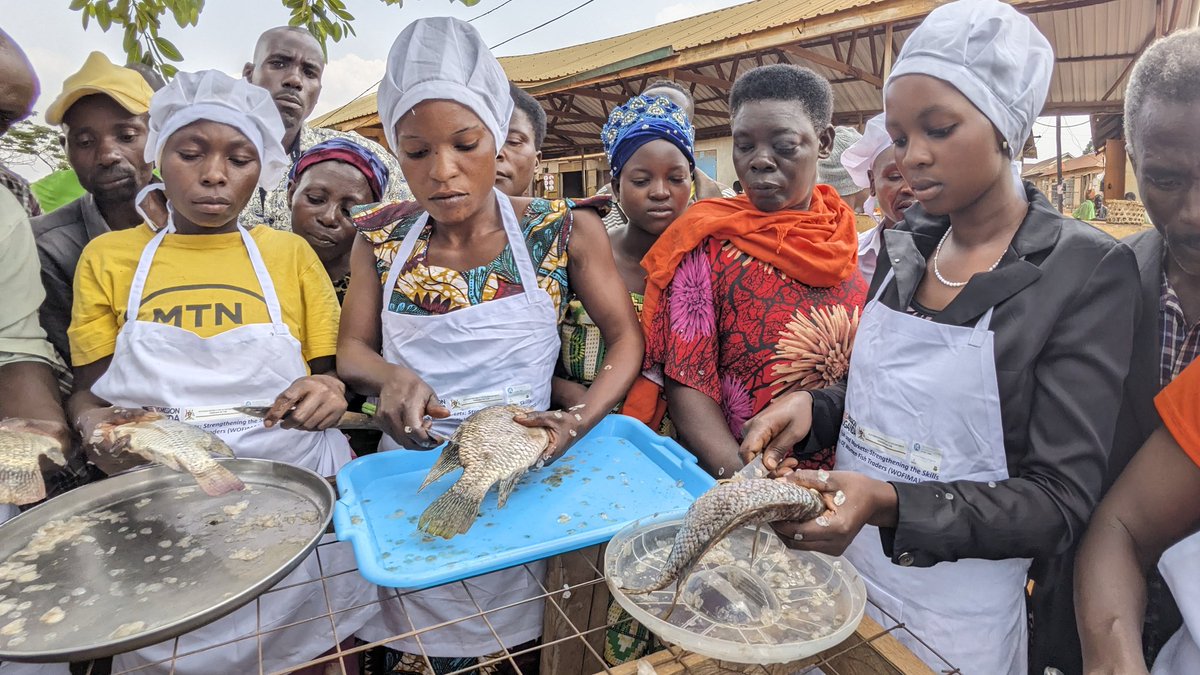 WOFIMA_project's tweet photo. COMMUNITY RESILIENCE: The  WOFIMA Project wasn't just about constructing improved traditional smoking kilns, our impact has now been extended to more Butunduzi town council  women participating in fish supply and value addition through innovative entrepreneurship skills. https://t.co/9k6PsT5dXR