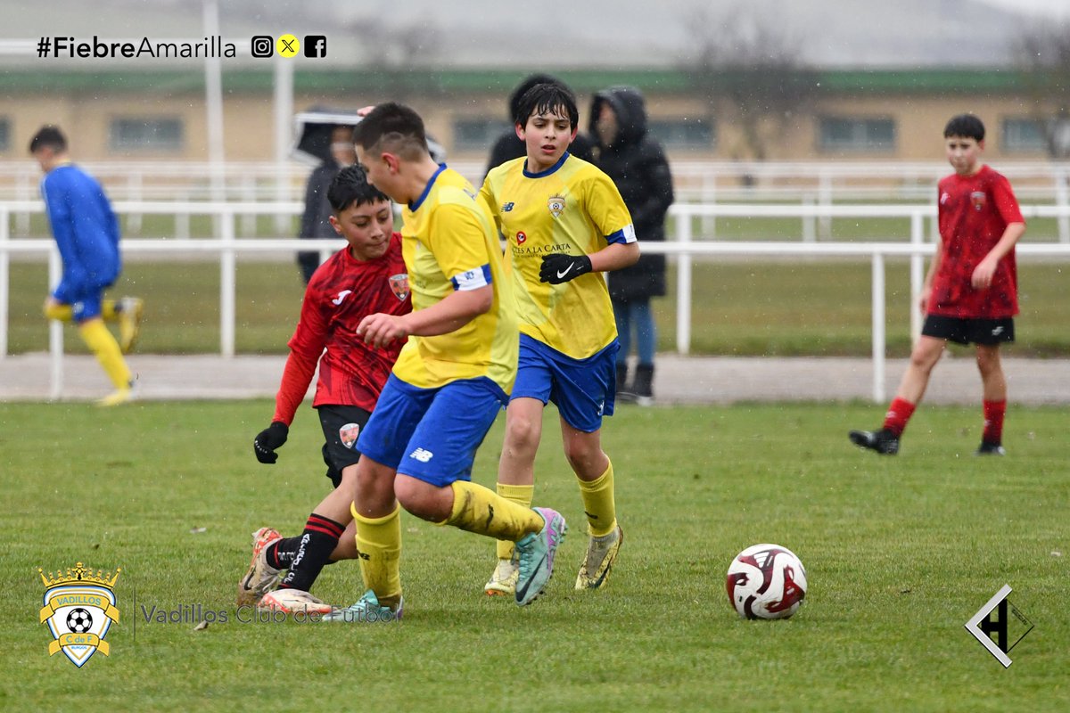 VadillosCF's tweet photo. Infantil "C" @inglesalacarta 6-0 #CapiscolCF "B"
Victoria de los chicos de Daniel y Diego, en un partido bajo la nieve...💛💙
➕3️⃣ Jornada 15
#FiebreAmarilla #FamiliaVadillista
📷 @javichicato https://t.co/6ejU0W9VIX