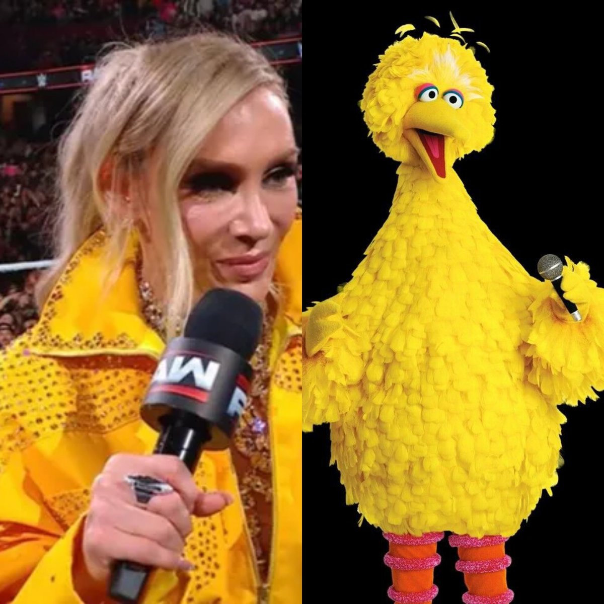 ScottHallNOats's tweet photo. Who wore it better?!

Charlotte or Big Bird
#RawOnNetflix https://t.co/QK0JyZQws5
