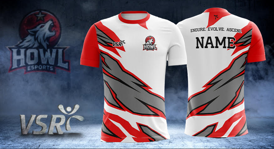 Howl Esports tweet media