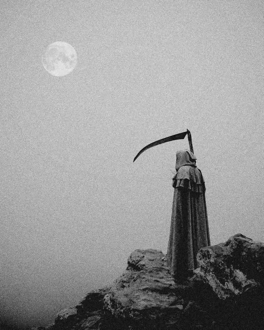 ilkerkaranfil666 tweet media