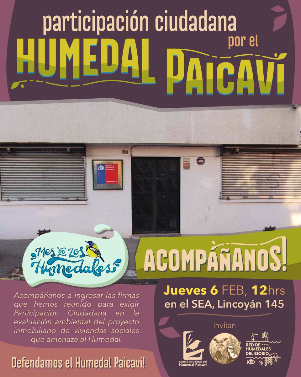 Acompáñanos a solicitar Participación Ciudadana en el SEA 🙏

Este jueves 6 iremos al Servicio de Evaluación Ambiental a ingresar las firmas que hemos reunido para solicitar Participación Ciudadana en la evaluación ambiental del Proyecto Inmobiliario que amenaza el #humedal
