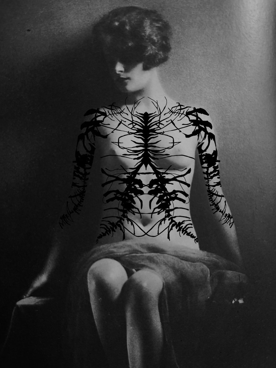 AliceTrc's tweet photo. Projets tattoo dispos sur Bruxelles ou Paris ⚔️ https://t.co/kGkBzwC4sd