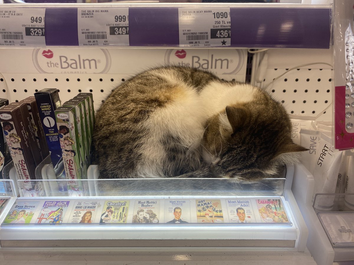 fiyat etiketi koymuşsunuz ama buna paha biçilemez