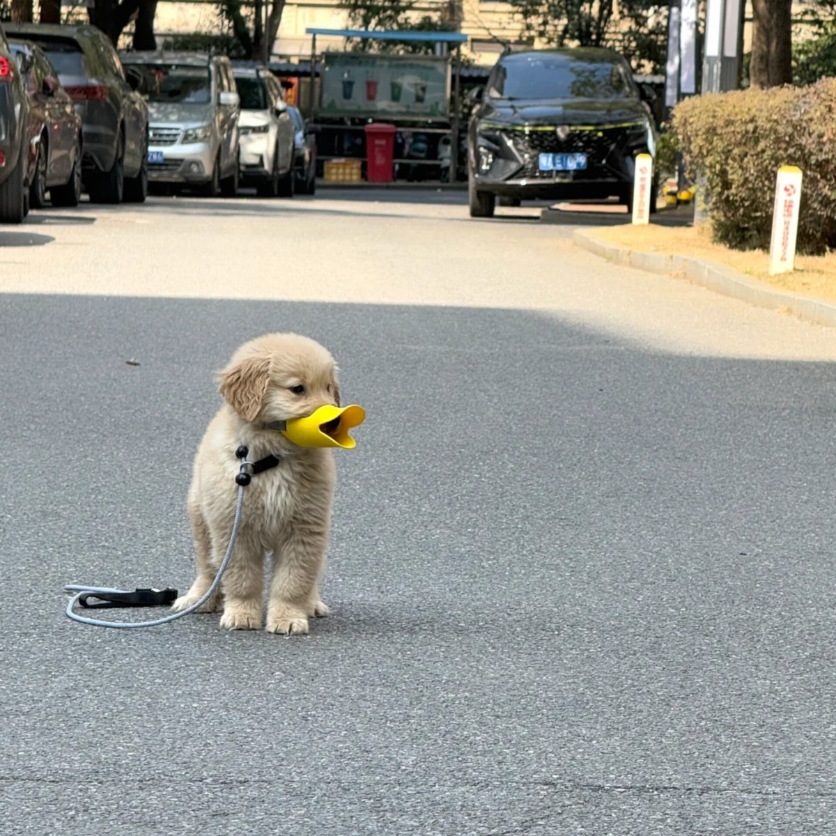 ตามติดชีวิตAnimal tweet media